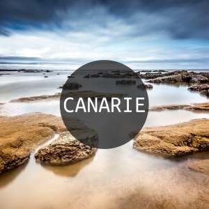 CANARIE